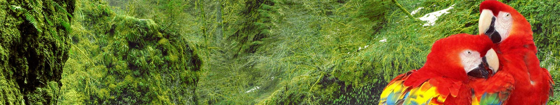 Mazuri Bird Diets and Vita-Zu supplements